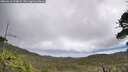 ./images/calvert/fitz-hugh-hecate/20260610/fitz-hugh-hecate20260610_114001M.jpg