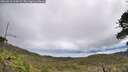 ./images/calvert/fitz-hugh-hecate/20260610/fitz-hugh-hecate20260610_114502M.jpg