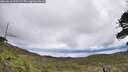 ./images/calvert/fitz-hugh-hecate/20260610/fitz-hugh-hecate20260610_121502M.jpg