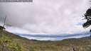 ./images/calvert/fitz-hugh-hecate/20260610/fitz-hugh-hecate20260610_123002M.jpg
