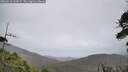 ./images/calvert/fitz-hugh-hecate/20260610/fitz-hugh-hecate20260610_143002M.jpg