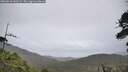 ./images/calvert/fitz-hugh-hecate/20260610/fitz-hugh-hecate20260610_143502M.jpg