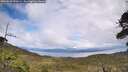 ./images/calvert/fitz-hugh-hecate/20260610/fitz-hugh-hecate20260610_152002M.jpg