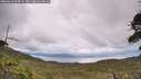 ./images/calvert/fitz-hugh-hecate/20260610/fitz-hugh-hecate20260610_153001M.jpg