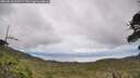 ./images/calvert/fitz-hugh-hecate/20260610/fitz-hugh-hecate20260610_153501M.jpg