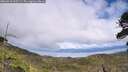 ./images/calvert/fitz-hugh-hecate/20260610/fitz-hugh-hecate20260610_155501M.jpg