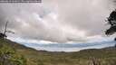 ./images/calvert/fitz-hugh-hecate/20260610/fitz-hugh-hecate20260610_161002M.jpg