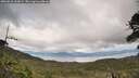 ./images/calvert/fitz-hugh-hecate/20260610/fitz-hugh-hecate20260610_163001M.jpg
