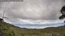 ./images/calvert/fitz-hugh-hecate/20260610/fitz-hugh-hecate20260610_164002M.jpg