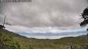 ./images/calvert/fitz-hugh-hecate/20260610/fitz-hugh-hecate20260610_164501M.jpg