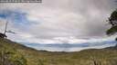 ./images/calvert/fitz-hugh-hecate/20260610/fitz-hugh-hecate20260610_171002M.jpg
