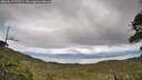 ./images/calvert/fitz-hugh-hecate/20260610/fitz-hugh-hecate20260610_171501M.jpg