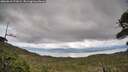 ./images/calvert/fitz-hugh-hecate/20260610/fitz-hugh-hecate20260610_172001M.jpg