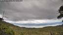 ./images/calvert/fitz-hugh-hecate/20260610/fitz-hugh-hecate20260610_172501M.jpg