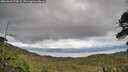 ./images/calvert/fitz-hugh-hecate/20260610/fitz-hugh-hecate20260610_173001M.jpg