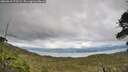 ./images/calvert/fitz-hugh-hecate/20260610/fitz-hugh-hecate20260610_173501M.jpg