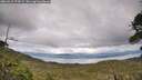 ./images/calvert/fitz-hugh-hecate/20260610/fitz-hugh-hecate20260610_174501M.jpg