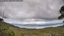./images/calvert/fitz-hugh-hecate/20260610/fitz-hugh-hecate20260610_175001M.jpg