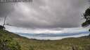 ./images/calvert/fitz-hugh-hecate/20260610/fitz-hugh-hecate20260610_175501M.jpg