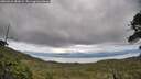./images/calvert/fitz-hugh-hecate/20260610/fitz-hugh-hecate20260610_180001M.jpg