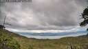 ./images/calvert/fitz-hugh-hecate/20260610/fitz-hugh-hecate20260610_181501M.jpg
