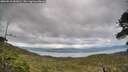 ./images/calvert/fitz-hugh-hecate/20260610/fitz-hugh-hecate20260610_182001M.jpg