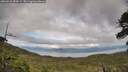 ./images/calvert/fitz-hugh-hecate/20260610/fitz-hugh-hecate20260610_184501M.jpg