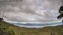 ./images/calvert/fitz-hugh-hecate/20260610/fitz-hugh-hecate20260610_194001M.jpg