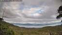 ./images/calvert/fitz-hugh-hecate/20260610/fitz-hugh-hecate20260610_194501M.jpg