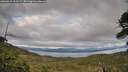 ./images/calvert/fitz-hugh-hecate/20260610/fitz-hugh-hecate20260610_201501M.jpg
