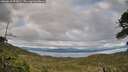 ./images/calvert/fitz-hugh-hecate/20260610/fitz-hugh-hecate20260610_202002M.jpg