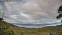 ./images/calvert/fitz-hugh-hecate/20260610/fitz-hugh-hecate20260610_203002M.jpg