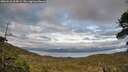 ./images/calvert/fitz-hugh-hecate/20260610/fitz-hugh-hecate20260610_204501M.jpg