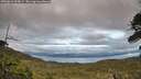 ./images/calvert/fitz-hugh-hecate/20260610/fitz-hugh-hecate20260610_205001M.jpg