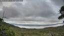 ./images/calvert/fitz-hugh-hecate/20260610/fitz-hugh-hecate20260610_210501M.jpg