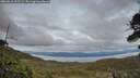 ./images/calvert/fitz-hugh-hecate/20260610/fitz-hugh-hecate20260610_212501M.jpg