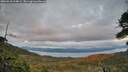 ./images/calvert/fitz-hugh-hecate/20260610/fitz-hugh-hecate20260610_214001M.jpg