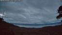 ./images/calvert/fitz-hugh-hecate/20260610/fitz-hugh-hecate20260610_222501M.jpg