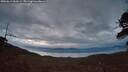 ./images/calvert/fitz-hugh-hecate/20260611/fitz-hugh-hecate20260611_044501M.jpg