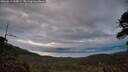 ./images/calvert/fitz-hugh-hecate/20260611/fitz-hugh-hecate20260611_045001M.jpg