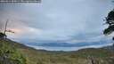 ./images/calvert/fitz-hugh-hecate/20260611/fitz-hugh-hecate20260611_055001M.jpg