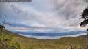 ./images/calvert/fitz-hugh-hecate/20260611/fitz-hugh-hecate20260611_061501M.jpg