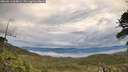 ./images/calvert/fitz-hugh-hecate/20260611/fitz-hugh-hecate20260611_064001M.jpg