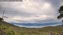 ./images/calvert/fitz-hugh-hecate/20260611/fitz-hugh-hecate20260611_070001M.jpg