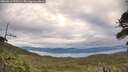 ./images/calvert/fitz-hugh-hecate/20260611/fitz-hugh-hecate20260611_070501M.jpg