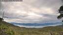./images/calvert/fitz-hugh-hecate/20260611/fitz-hugh-hecate20260611_071001M.jpg