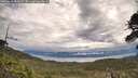 ./images/calvert/fitz-hugh-hecate/20260611/fitz-hugh-hecate20260611_081001M.jpg