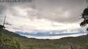 ./images/calvert/fitz-hugh-hecate/20260611/fitz-hugh-hecate20260611_091001M.jpg