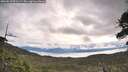 ./images/calvert/fitz-hugh-hecate/20260611/fitz-hugh-hecate20260611_091502M.jpg