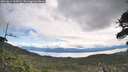 ./images/calvert/fitz-hugh-hecate/20260611/fitz-hugh-hecate20260611_104501M.jpg